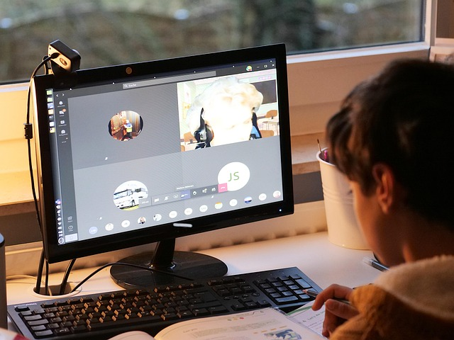 The Growing Impact of Online Education in the United States