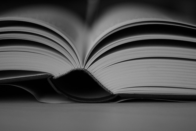 The Power of Lifelong Learning: Why Education Doesn’t Stop at Graduation
